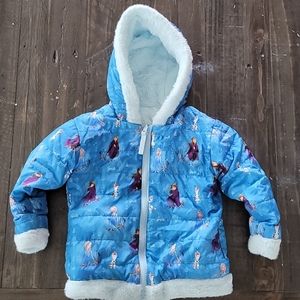 Frozen reversible coat